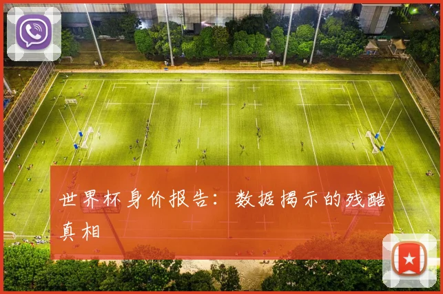 世界杯身价报告：数据揭示的残酷真相