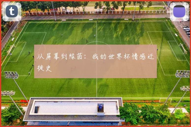 从屏幕到绿茵：我的世界杯情感迁徙史