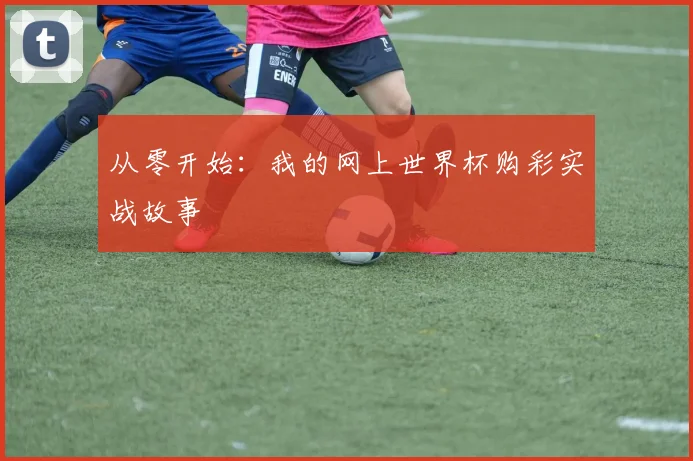 从零开始：我的网上世界杯购彩实战故事